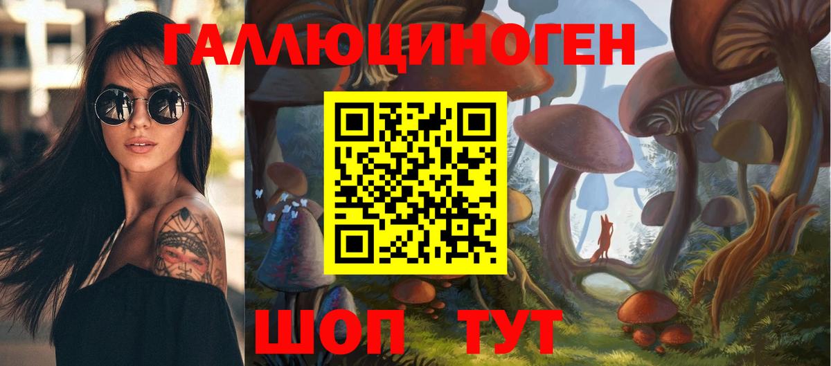 Псилоцибиновые грибы Psilocybine cubensis  дарнет шоп  Трёхгорный  Вход с VPN 