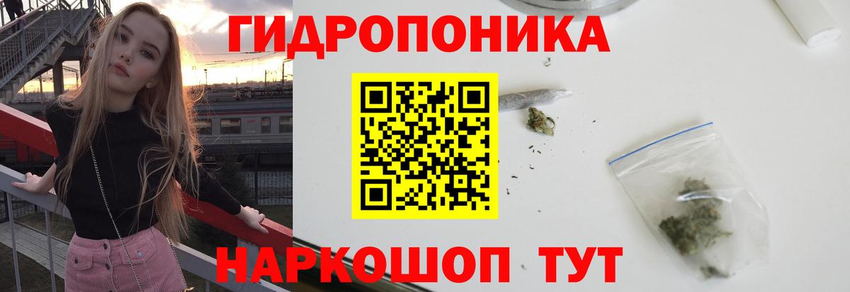 Бошки марихуана White Widow Трёхгорный